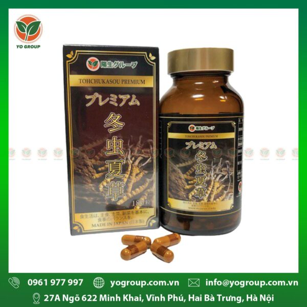 Thực phẩm chức năng đông trùng hạ thảo - Tohchukasou Premium