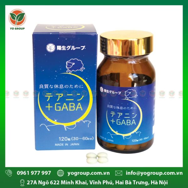 Viên ngủ ngon L - Theanine GABA