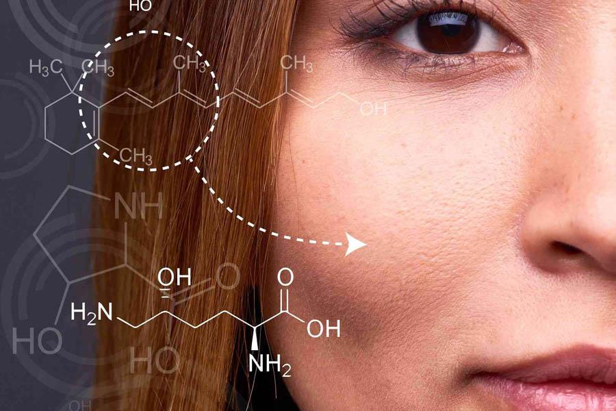 Collagen Là Gì? Top Những Thực Phẩm Bổ Sung Collagen Nhiều Nhất