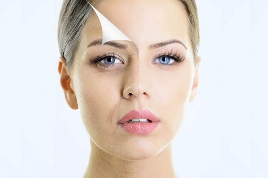 Collagen Là Gì? Top Những Thực Phẩm Bổ Sung Collagen Nhiều Nhất