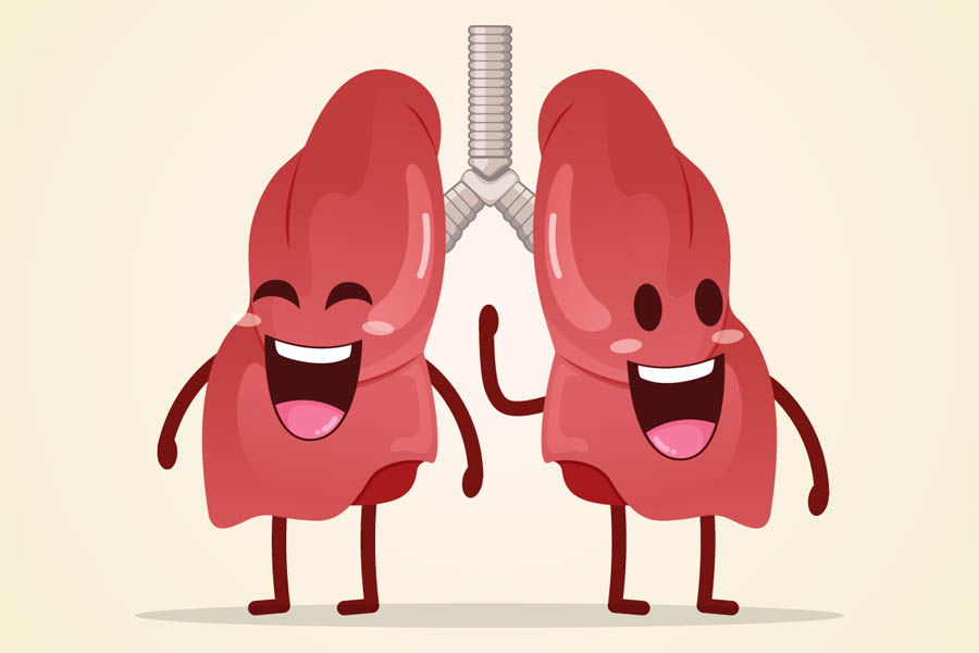 Đông Trùng Hạ Thảo Là Gì Và Tác Dụng Của Đông Trùng Hạ Thảo 10 Đông Trùng Hạ Thảo Là Gì Và Tác Dụng Của Đông Trùng Hạ Thảo