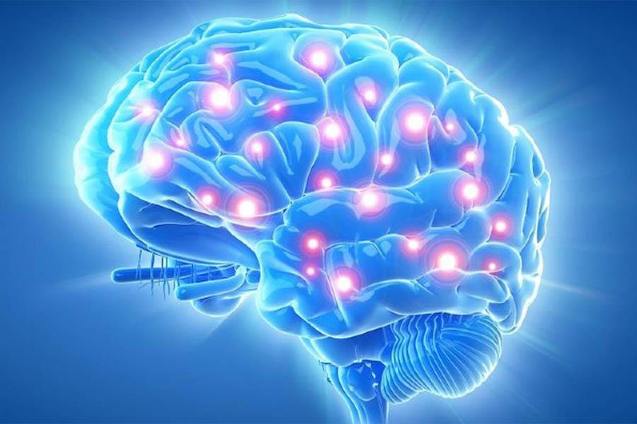 Hoạt Huyết Dưỡng Não Và Những Điều Cần Biết Kẻo Gây Hại Cho Bản Thân 29 Hoạt Huyết Dưỡng Não Và Những Điều Cần Biết Kẻo Gây Hại Cho Bản Thân