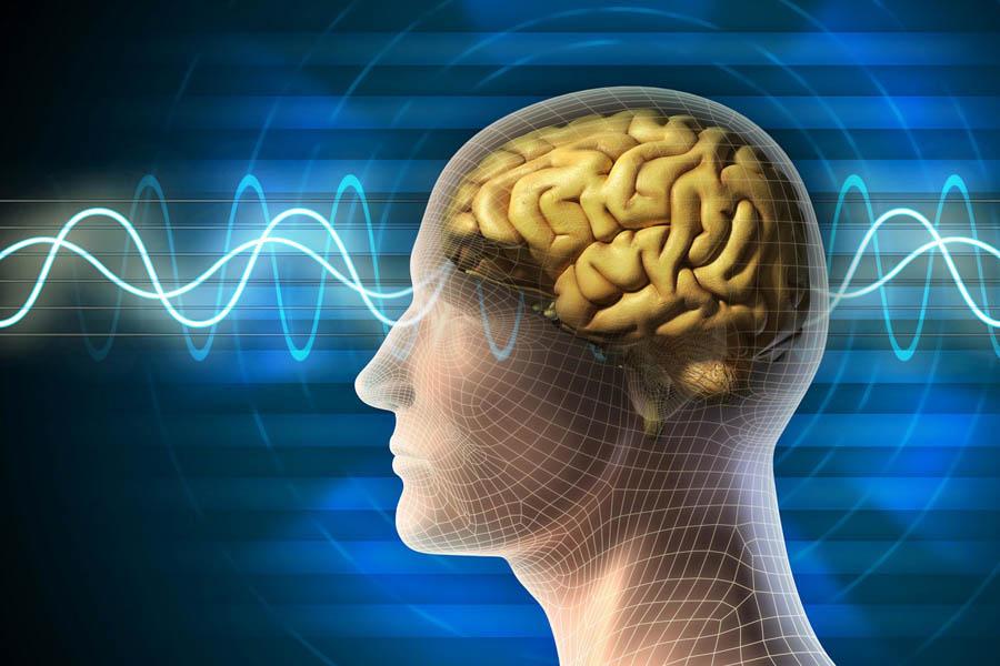 Hoạt Huyết Dưỡng Não Và Những Điều Cần Biết Kẻo Gây Hại Cho Bản Thân 9 Hoạt Huyết Dưỡng Não Và Những Điều Cần Biết Kẻo Gây Hại Cho Bản Thân