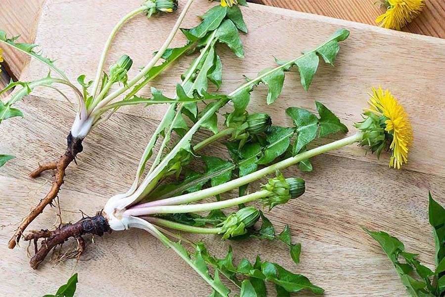 Những Ai Nên Giải Độc Gan? Nước Uống Giải Độc Gan Đơn Giản Dễ Làm Tại Nhà