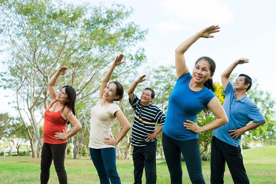 Sụn vi cá mập có tác dụng gì?