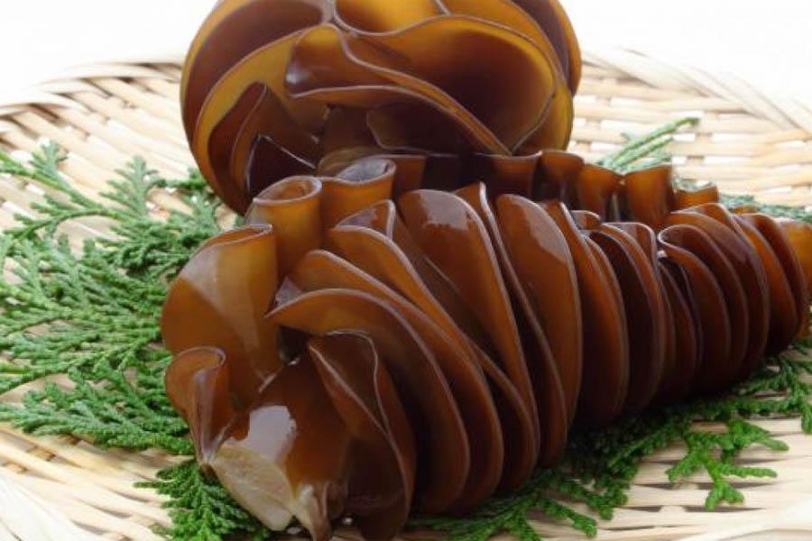 Thuốc Fucoidan Là Gì? Công Dụng Fucoidan Đem Lại