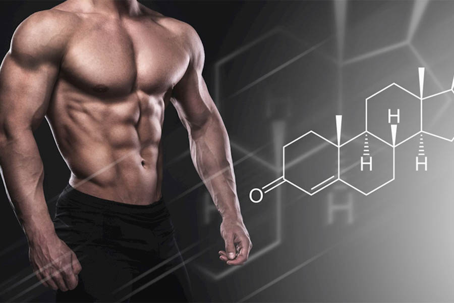 Tinh Chất Hàu Có Tác Dụng Gì? Top Những Sản Phẩm Tinh Chất Hàu Tốt Nhất 2022