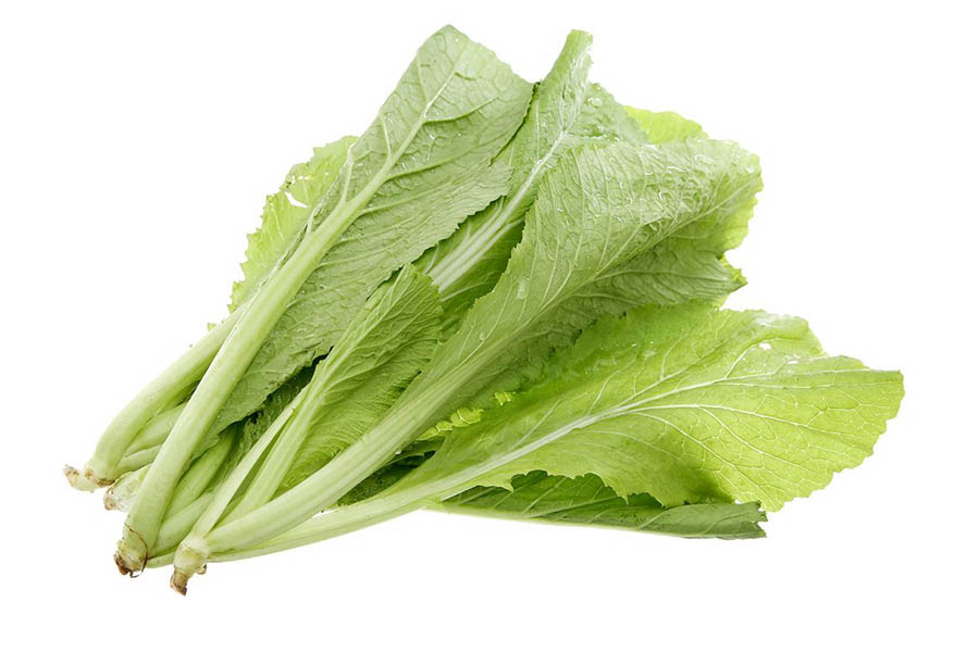 15 Cách Chữa Bệnh Gout Bằng Thuốc Nam Đơn Giản, Dễ Tìm