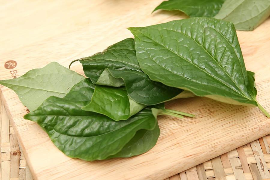 15 Cách Chữa Bệnh Gout Bằng Thuốc Nam Đơn Giản, Dễ Tìm