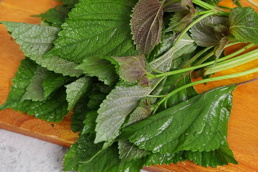 15 Cách Chữa Bệnh Gout Tại Nhà Siêu Hiệu Quả