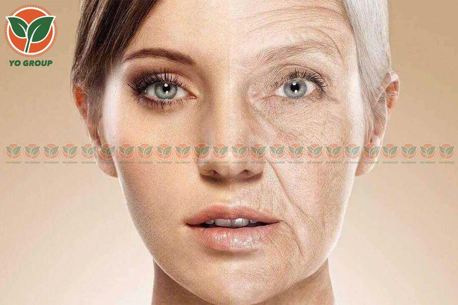 Bật Mí 6 Cách Bổ Sung Collagen Đơn Giản Mà Siêu Hiệu Quả
