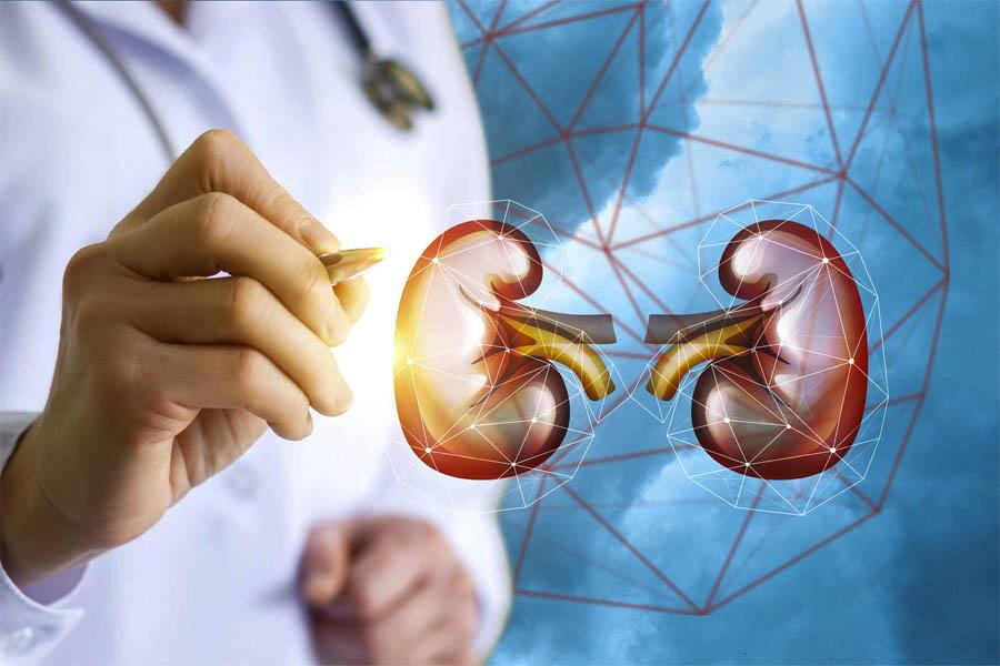 Bệnh Gout Mãn Tính Và Tất Tần Tật Thông Tin Mà Bạn Cần Biết 8 Bệnh Gout Mãn Tính Và Tất Tần Tật Thông Tin Mà Bạn Cần Biết