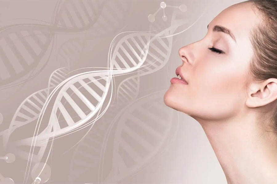 Nên Chọn Collagen Loại Nào Tốt Cho Da? 3 Loại Collagen Thường Gặp