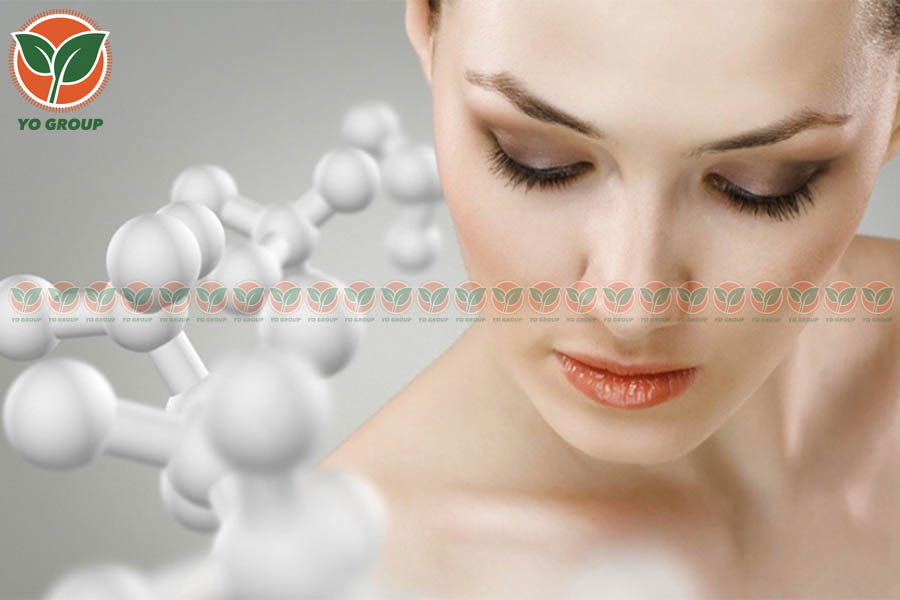 Sản Phẩm Collagen Nhật Nào Tốt Nhất Năm 2022?