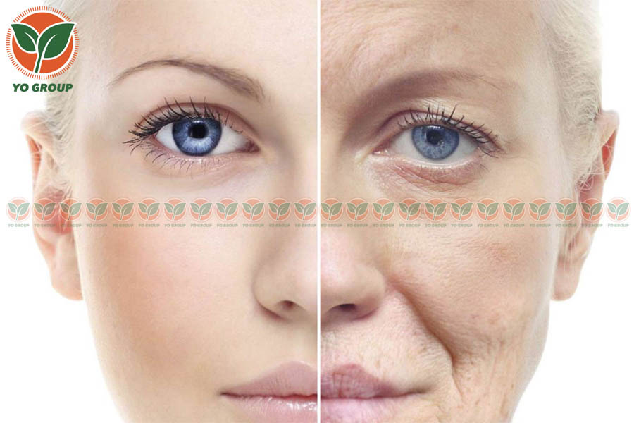 Sản Phẩm Collagen Nhật Nào Tốt Nhất Năm 2022?