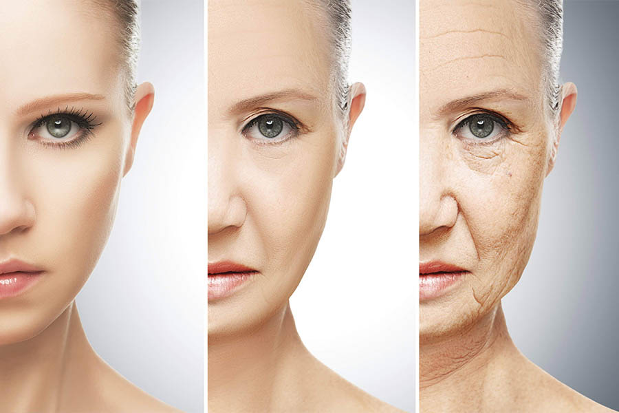 Top 21 Thực Phẩm Bổ Sung Collagen Mà Bạn Nên Biết