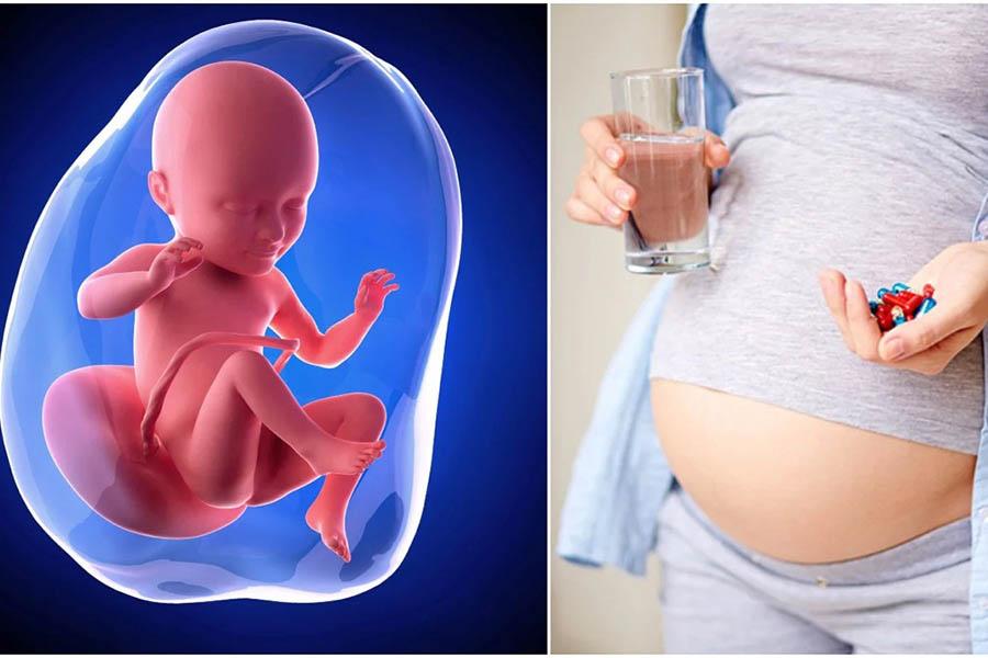 Bật Mí Cách Uống Sắt, Canxi Và DHA Cho Bà Bầu Hiệu Quả Nhất 2 Bật Mí Cách Uống Sắt, Canxi Và DHA Cho Bà Bầu Hiệu Quả Nhất