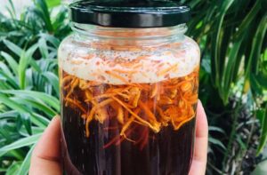 Cách Làm Đông Trùng Hạ Thảo Ngâm Mật Ong Siêu Dễ Ai Cũng Có Thể Làm Được