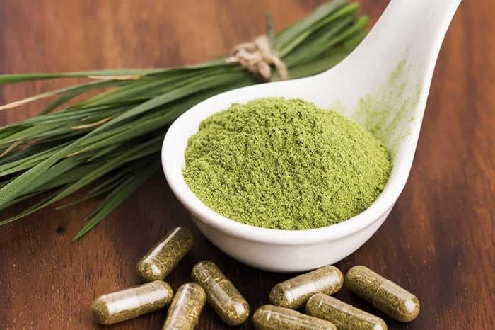 Fucoidan Nhật Bản Loại Nào Tốt Nhất Hiện Nay?