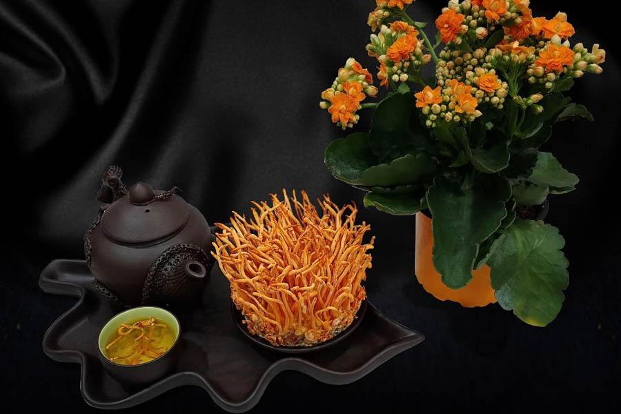 Cách Pha Trà Đông Trùng Hạ Thảo Khô Đơn Giản Dễ Làm