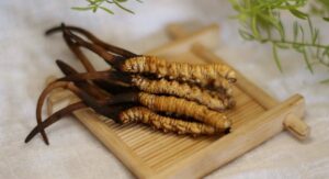 Cách Sử Dụng Nấm Đông Trùng Hạ Thảo Tươi Hiệu Quả Nhất 4 Cách Sử Dụng Nấm Đông Trùng Hạ Thảo Tươi Hiệu Quả Nhất