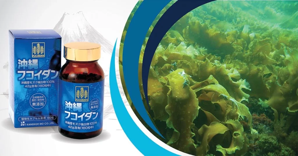 Fucoidan Xanh Nổi Tiếng Tại Nhật Bản - Fucoida Okinawa