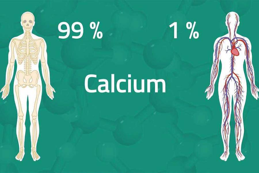 Giải Đáp Thắc Mắc DHA Uống Chung Với Canxi Được Không 2 Giải Đáp Thắc Mắc DHA Uống Chung Với Canxi Được Không