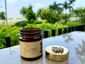 Fucoidan Vàng Và Những Lưu Ý Để Sử Dụng Hiệu Quả Nhất