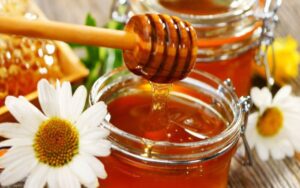Cách Làm Đông Trùng Hạ Thảo Ngâm Mật Ong Siêu Dễ Ai Cũng Có Thể Làm Được