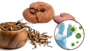 Sự Kết Hợp Tuyệt Vời Giữa Đông Trùng Hạ Thảo Và Linh Chi 4 Sự Kết Hợp Tuyệt Vời Giữa Đông Trùng Hạ Thảo Và Linh Chi
