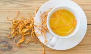 Những Ai Không Dùng Được Đông Trùng Hạ Thảo?
