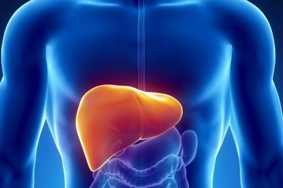 Tác dụng phụ của thuốc giải độc gan
