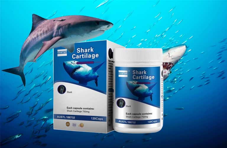 Top những sản phẩm sụn vi cá mập có hiệu quả tốt đối với sức khỏe bạn nên lựa chọn 3 215498 costar b 5 h p s n c m p tt1 1 1