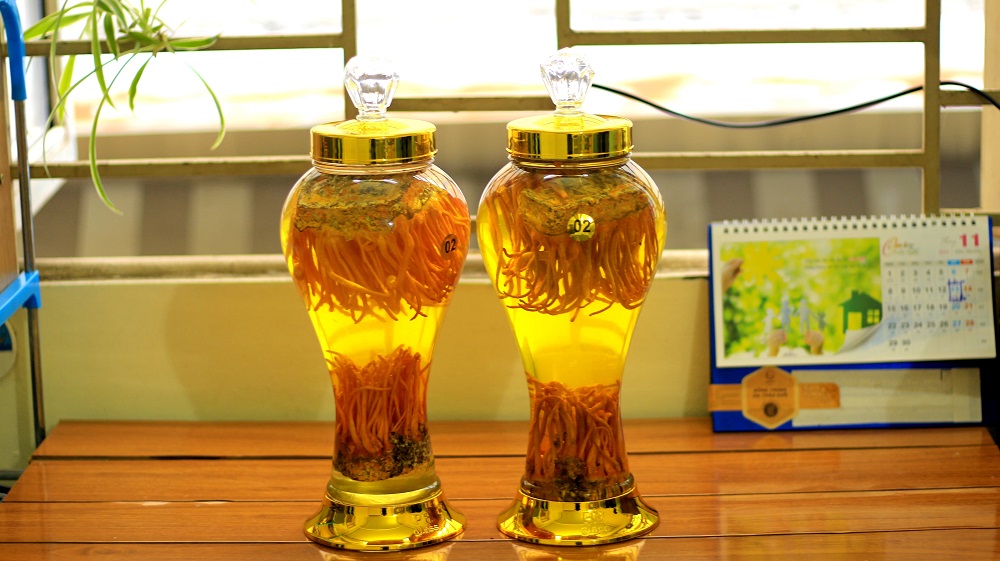 rượu đông trùng hạ thảo