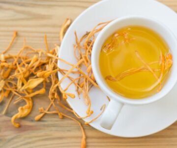 Đông trùng hạ thảo là gì?