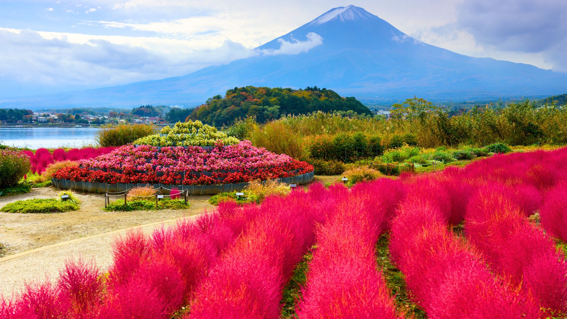 tour du lich nhat ban canh dong la do