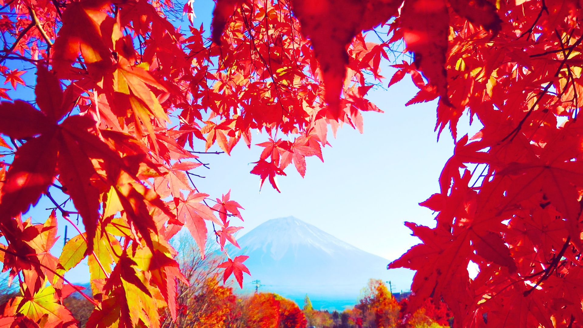 tour du lich nhat ban fuji la do dep