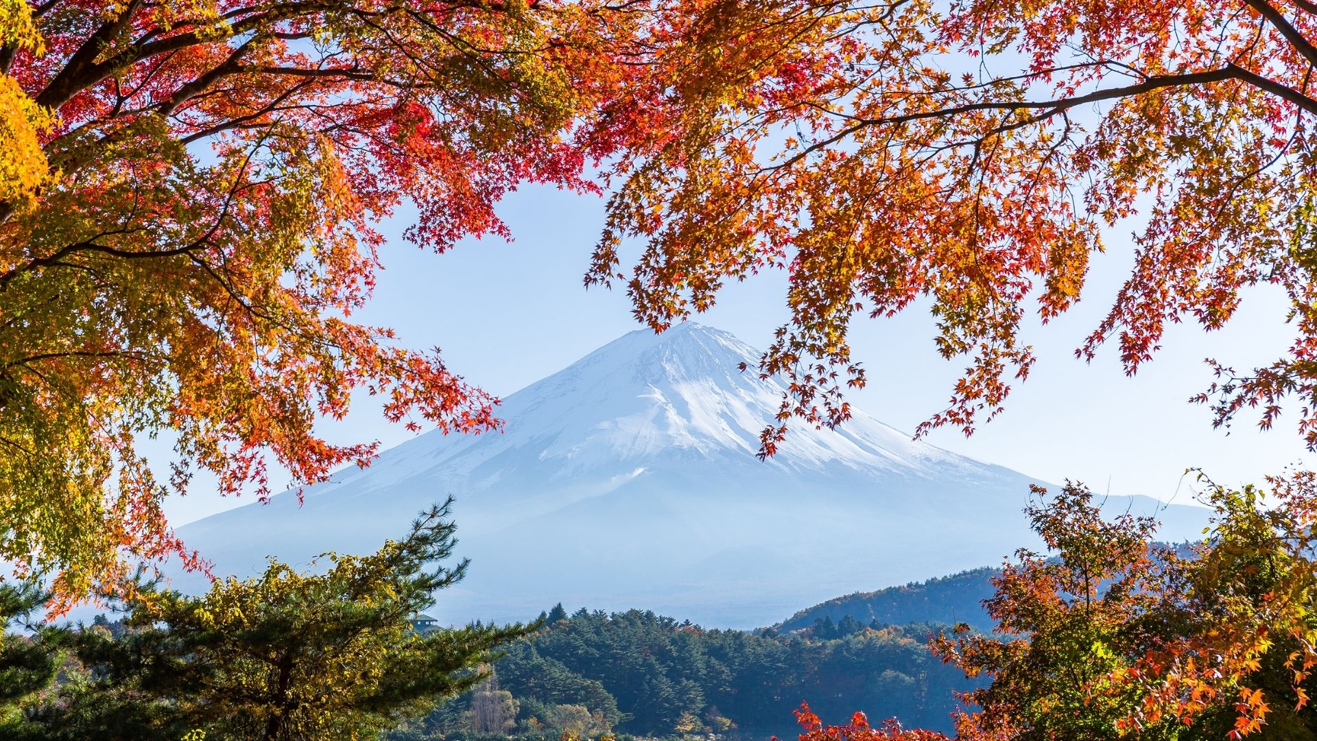 tour du lich nhat ban nui fuji la do