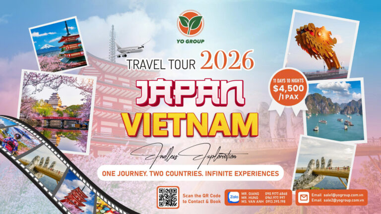 Home - English 17 z7433456976398 c227ea540233c47caa40e9d95efa4ae5