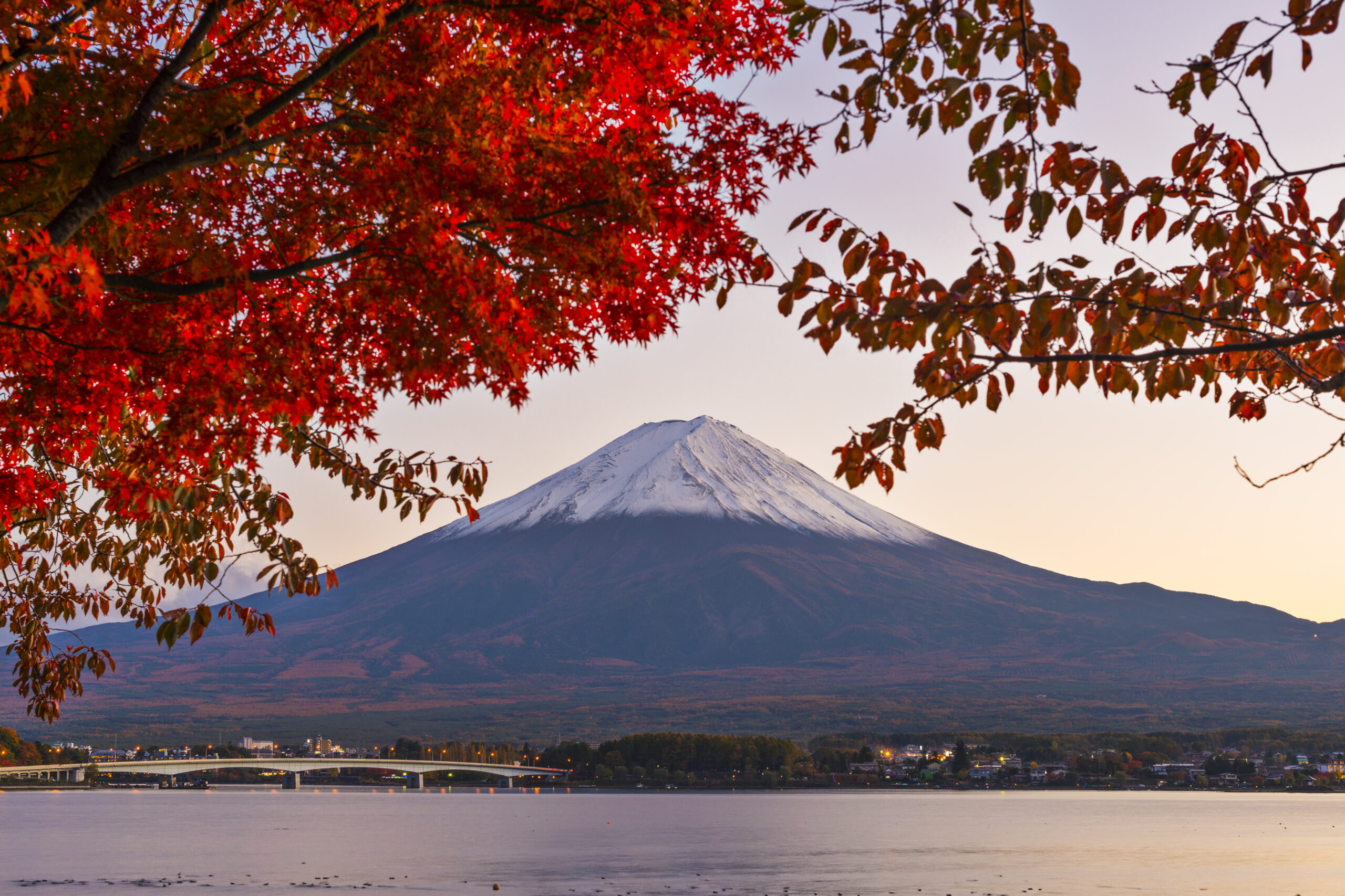 Mt. Fuji with fall Foliage in Japan.