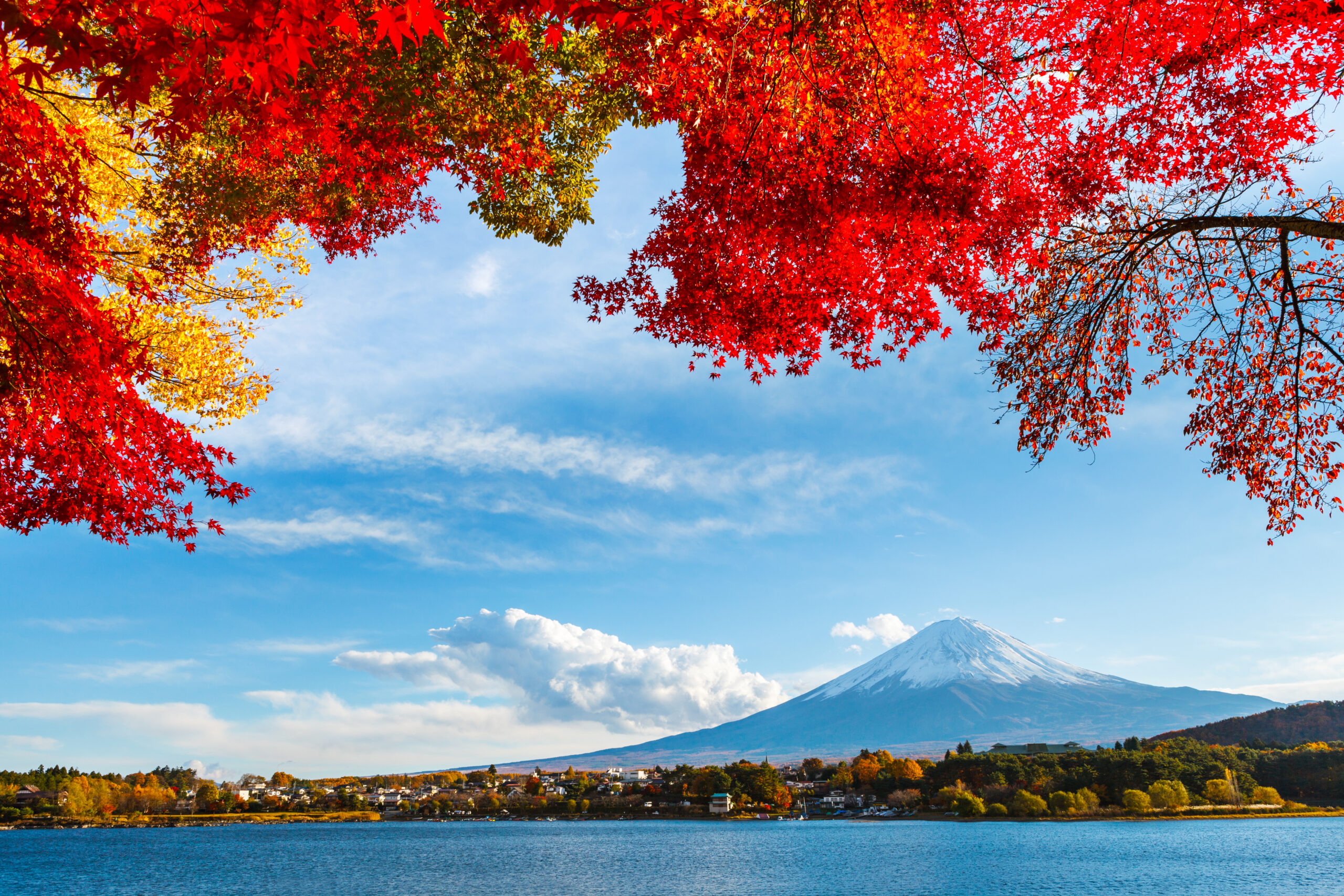 mt-fuji-in-autumn-2026-04-13-23-54-32-utc