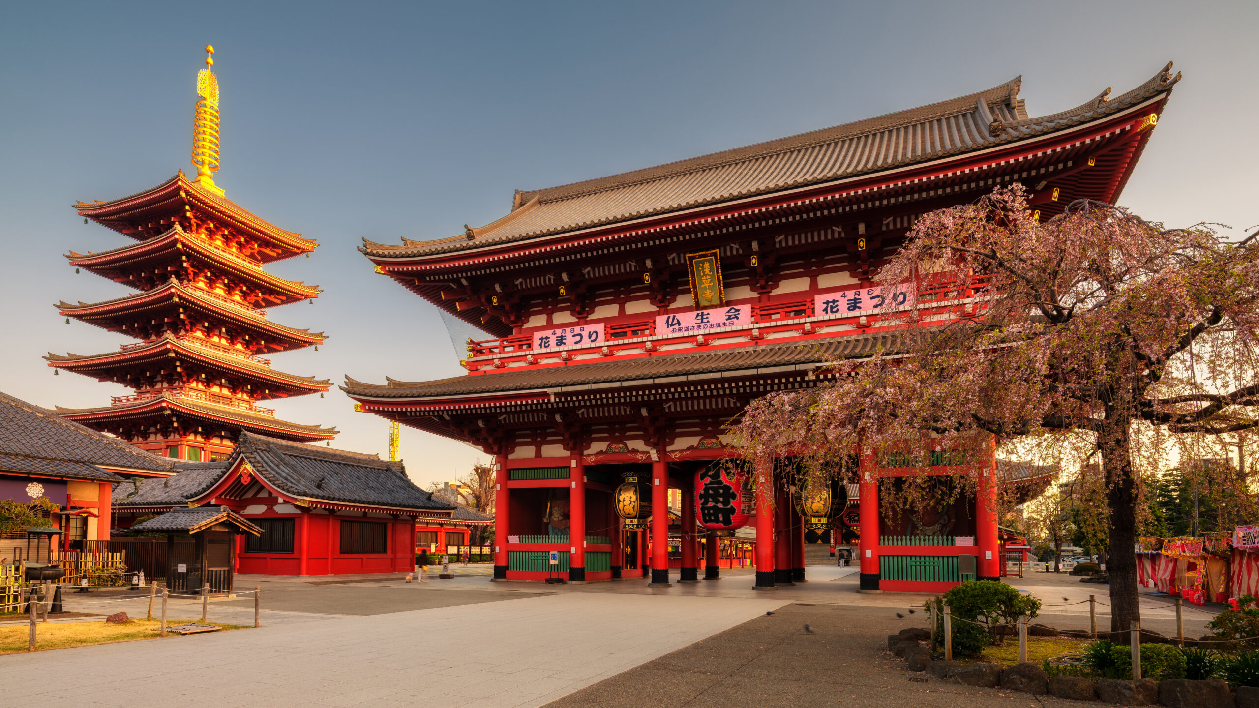 temple-in-tokyo-2026-03-25-06-33-29-utc